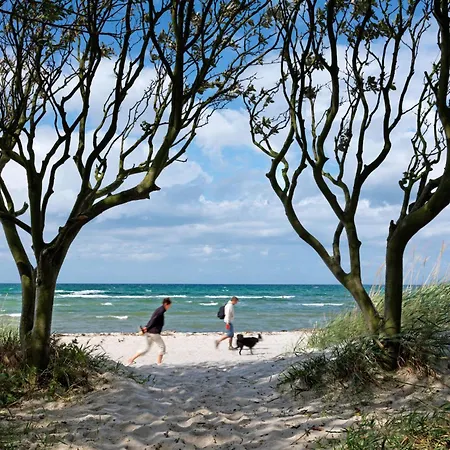 Vakantiehuis Daenische Ferienhaeuser Am Salzhaff Haus Midsommer Malchow (Poel Island)