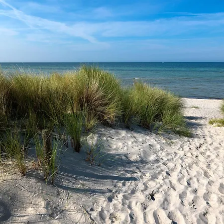 Daenische Ferienhaeuser Am Salzhaff Haus Midsommer Holiday home Malchow (Poel Island)