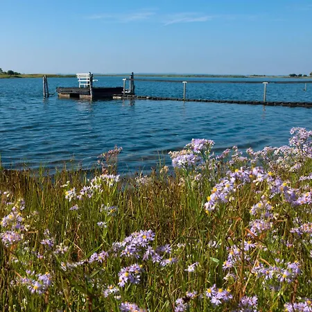Daenische Ferienhaeuser Am Salzhaff Haus Midsommer * Malchow (Poel Island)