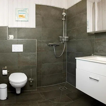 Daenische Ferienhaeuser Am Salzhaff Haus Midsommer *