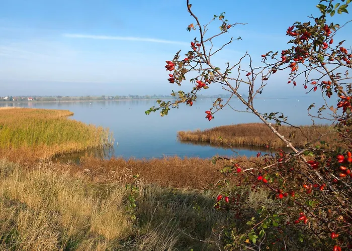 Feriehus Daenische Ferienhaeuser Am Salzhaff Haus Midsommer Malchow (Poel Island)